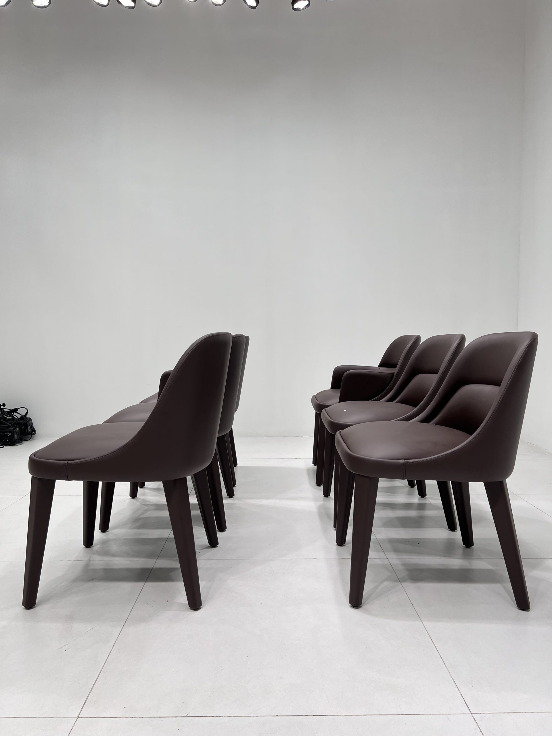 Vivienne Chairs 4