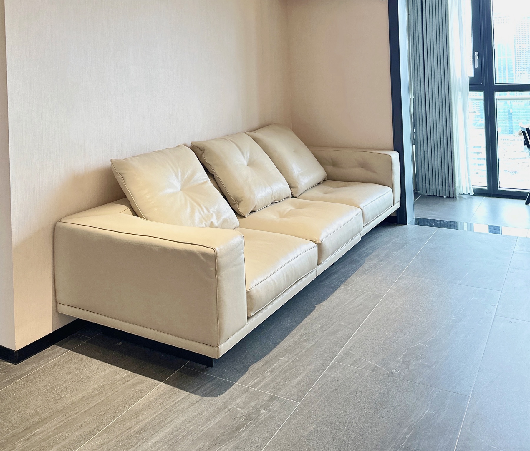 Domestic Buyer Project 012