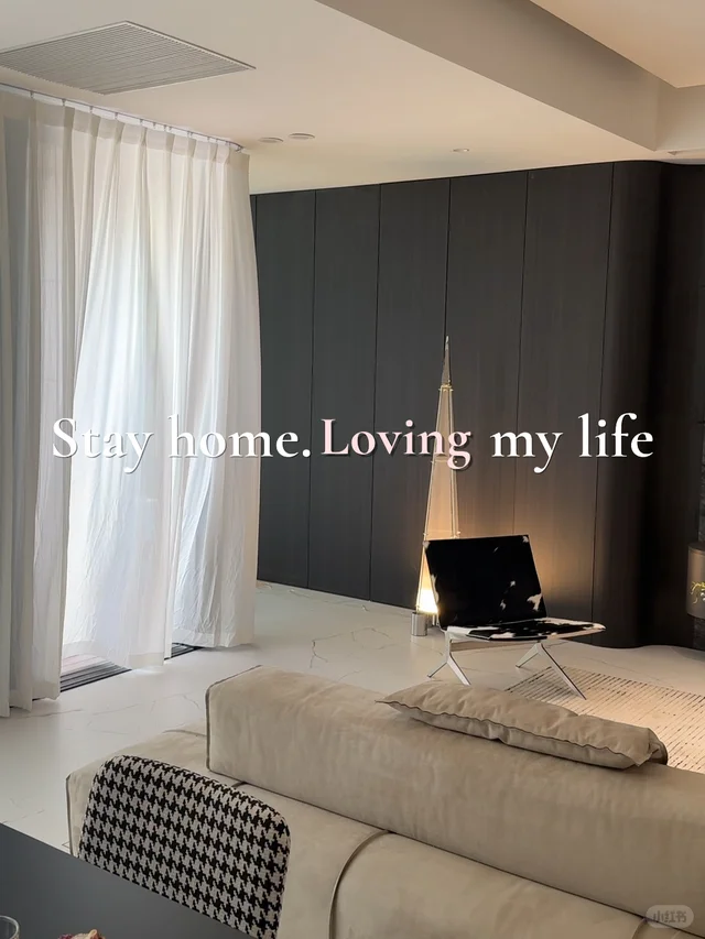 Living and Dining Vlog Case