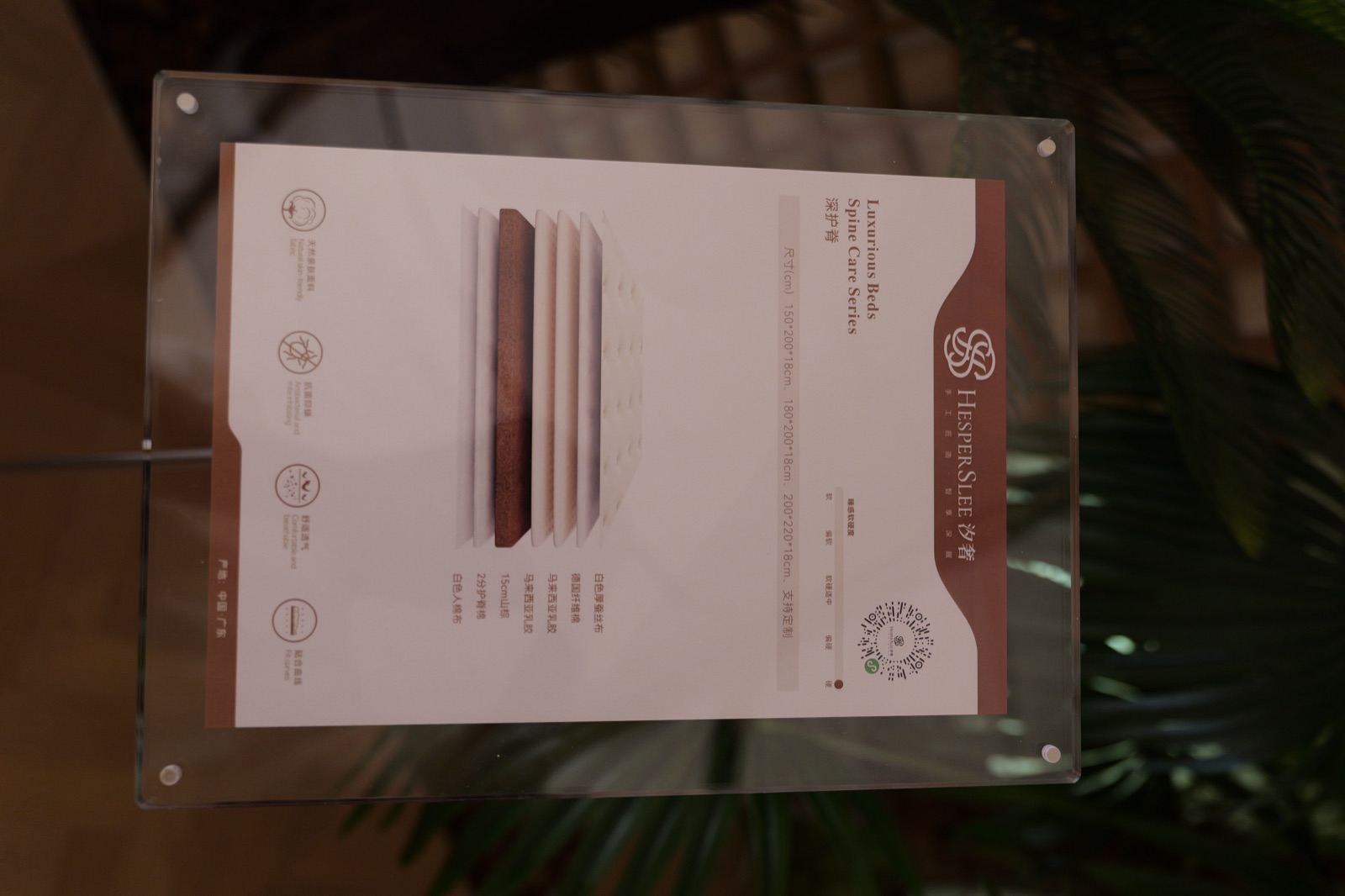 Deep Spine Care mattress showroom information