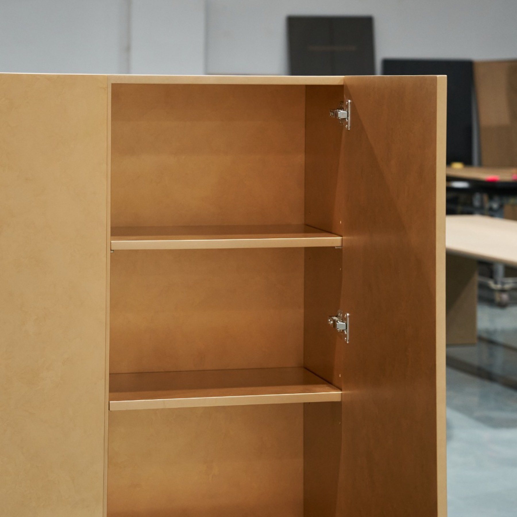 Custom Cabinet Design 037 Storage