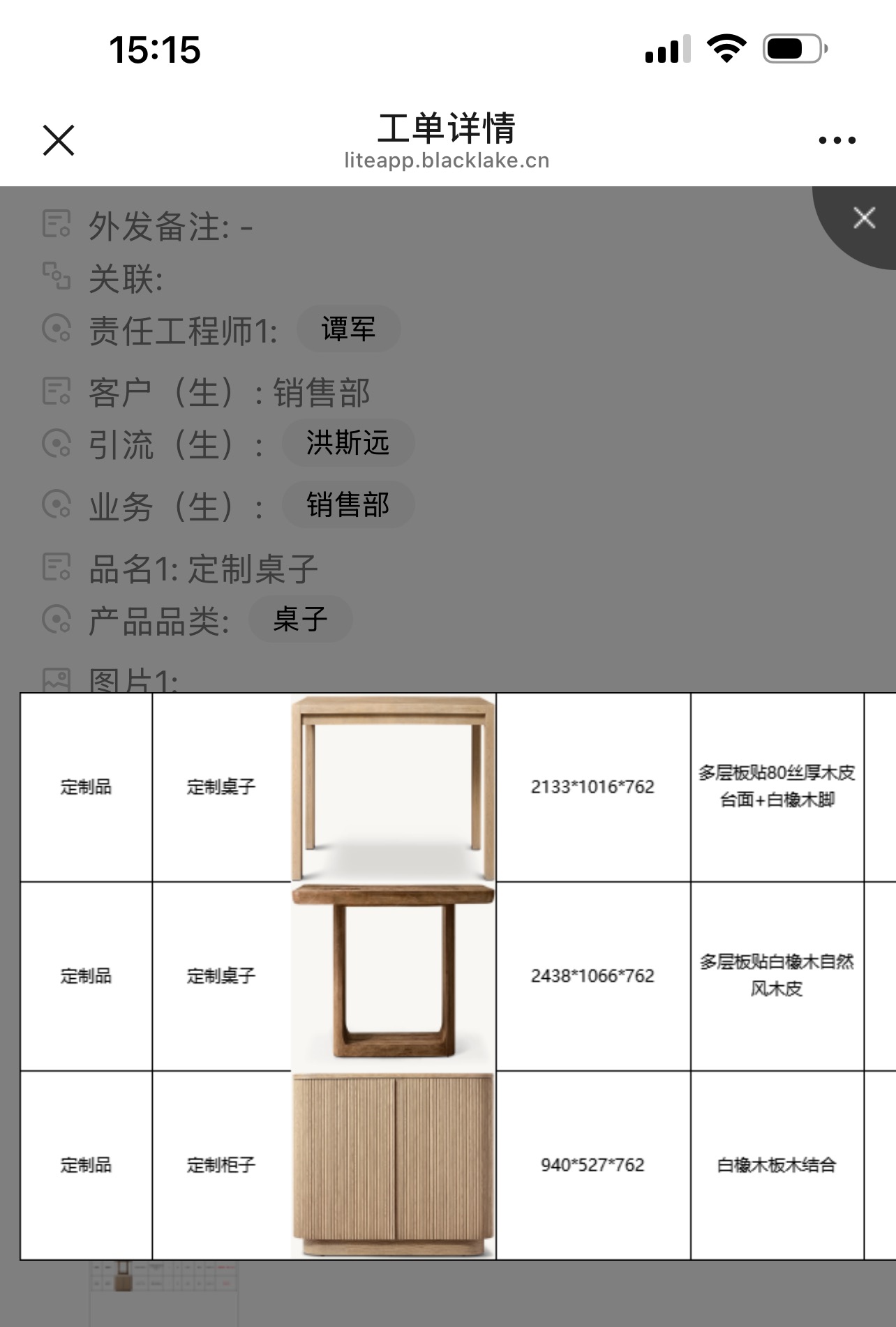 RH Cabinet Customization 039